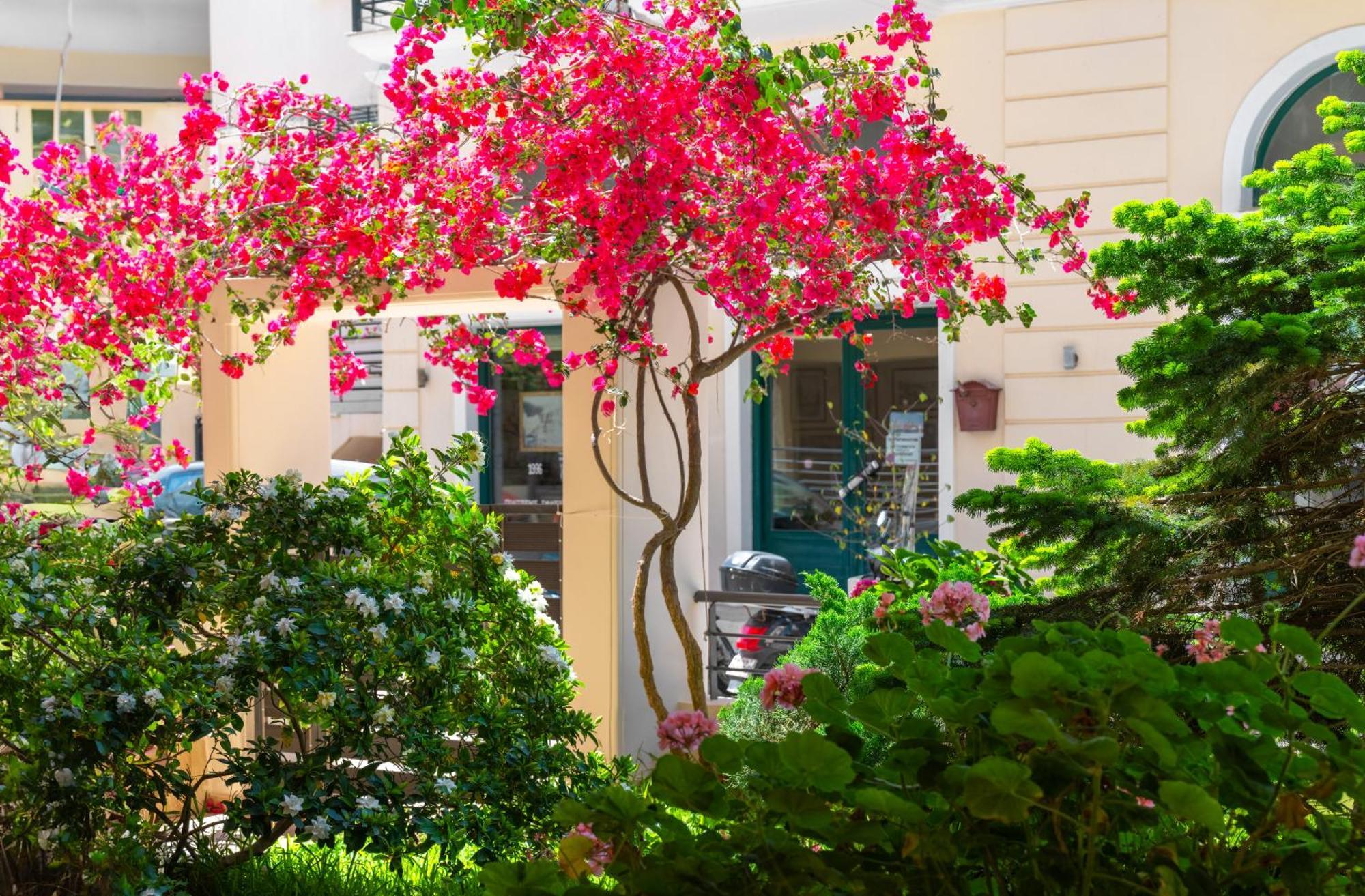 Myrto1 Apartment Preveza Ngoại thất bức ảnh